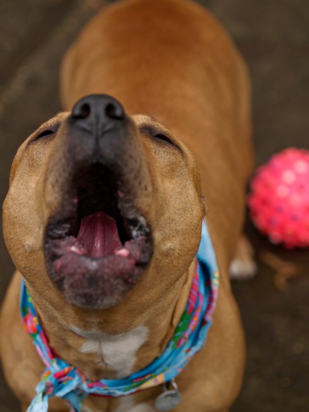 "I wanna go hooooooome!"